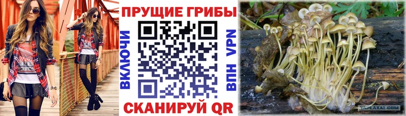 наркотики  Ивантеевка  это какой сайт  Псилоцибиновые грибы прущие грибы  блэк спрут рабочий сайт 